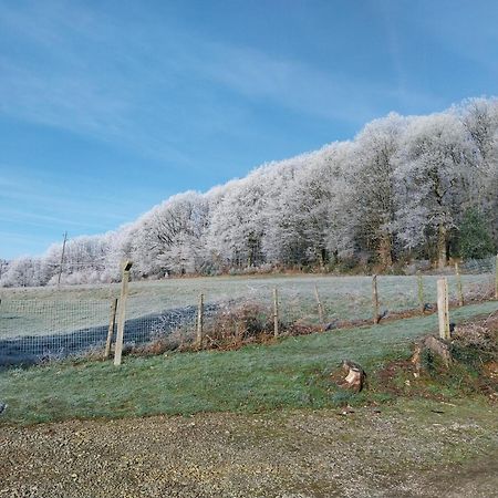 Gite En Lisiere De Foret Andaine Perrou Bagian luar foto