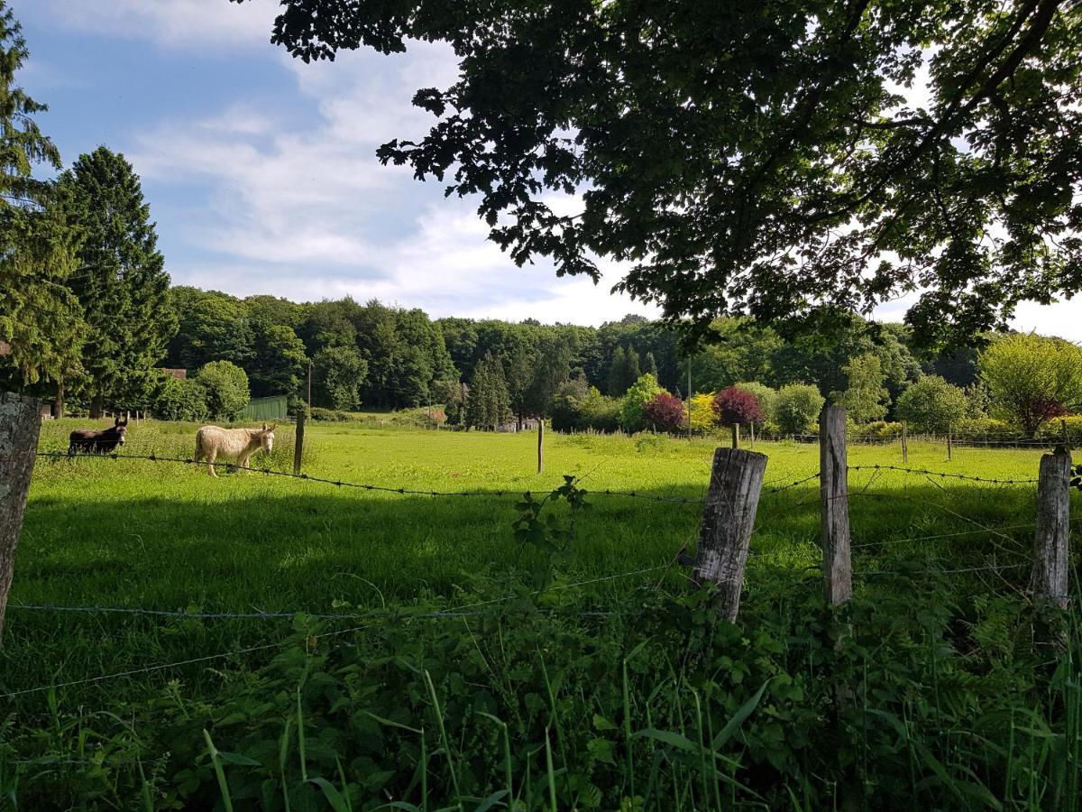 Gite En Lisiere De Foret Andaine Perrou Bagian luar foto